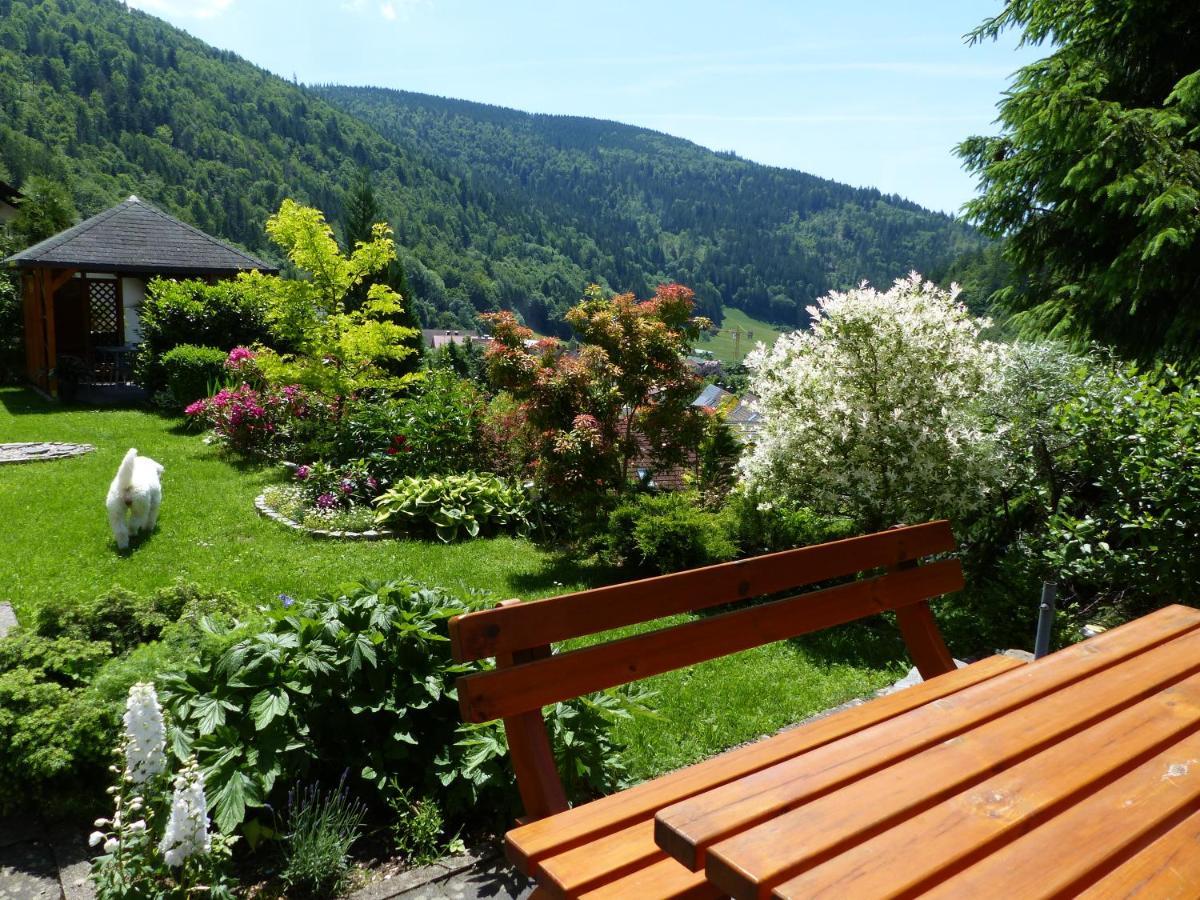 Apartmán Haus Zur Eule Todtnau Exteriér fotografie