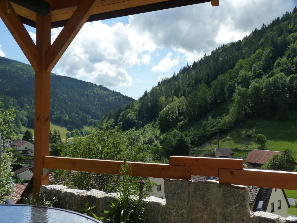 Apartmán Haus Zur Eule Todtnau Pokoj fotografie