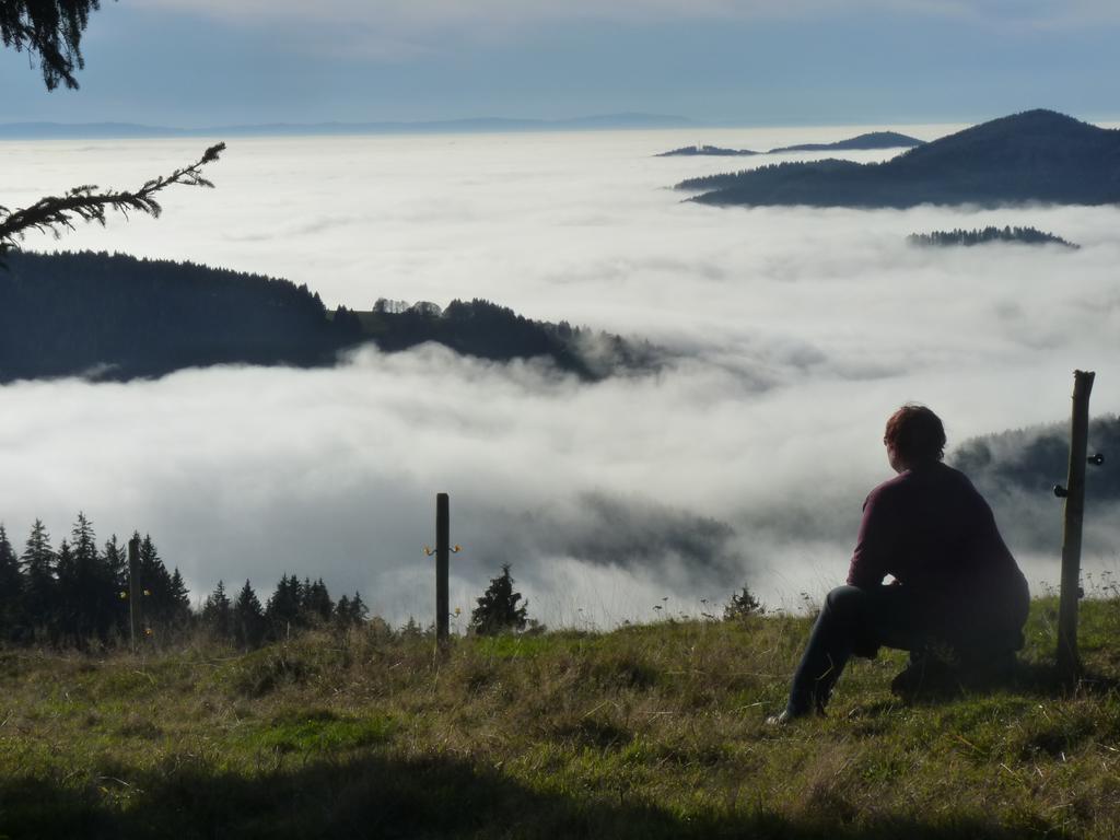 Apartmán Haus Zur Eule Todtnau Pokoj fotografie